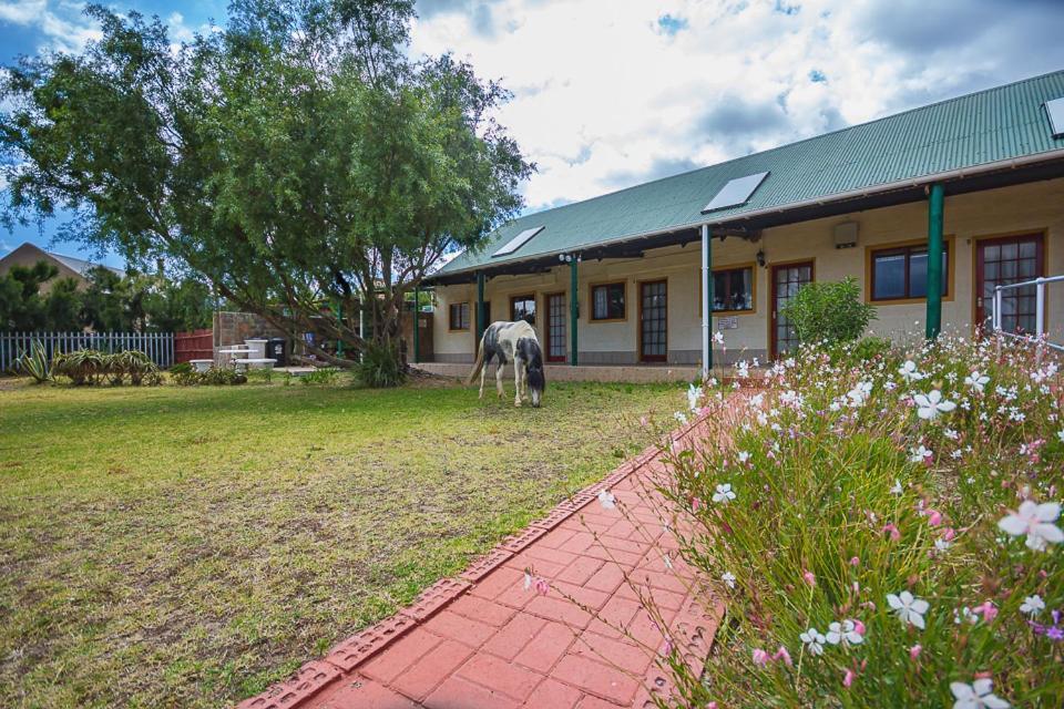 Kingfisher Hollow Villa Gordonʼs Bay Exterior foto