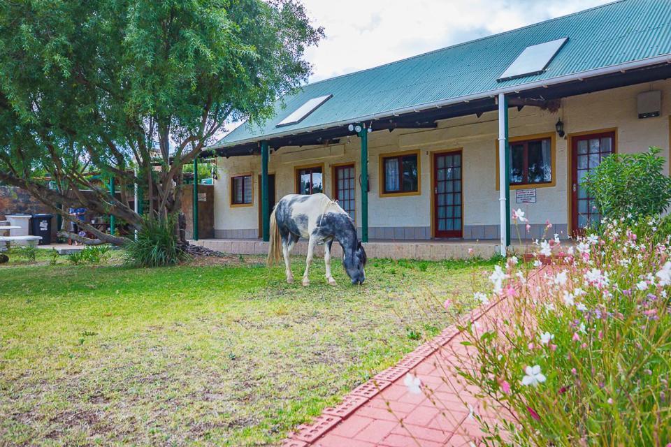 Kingfisher Hollow Villa Gordonʼs Bay Exterior foto